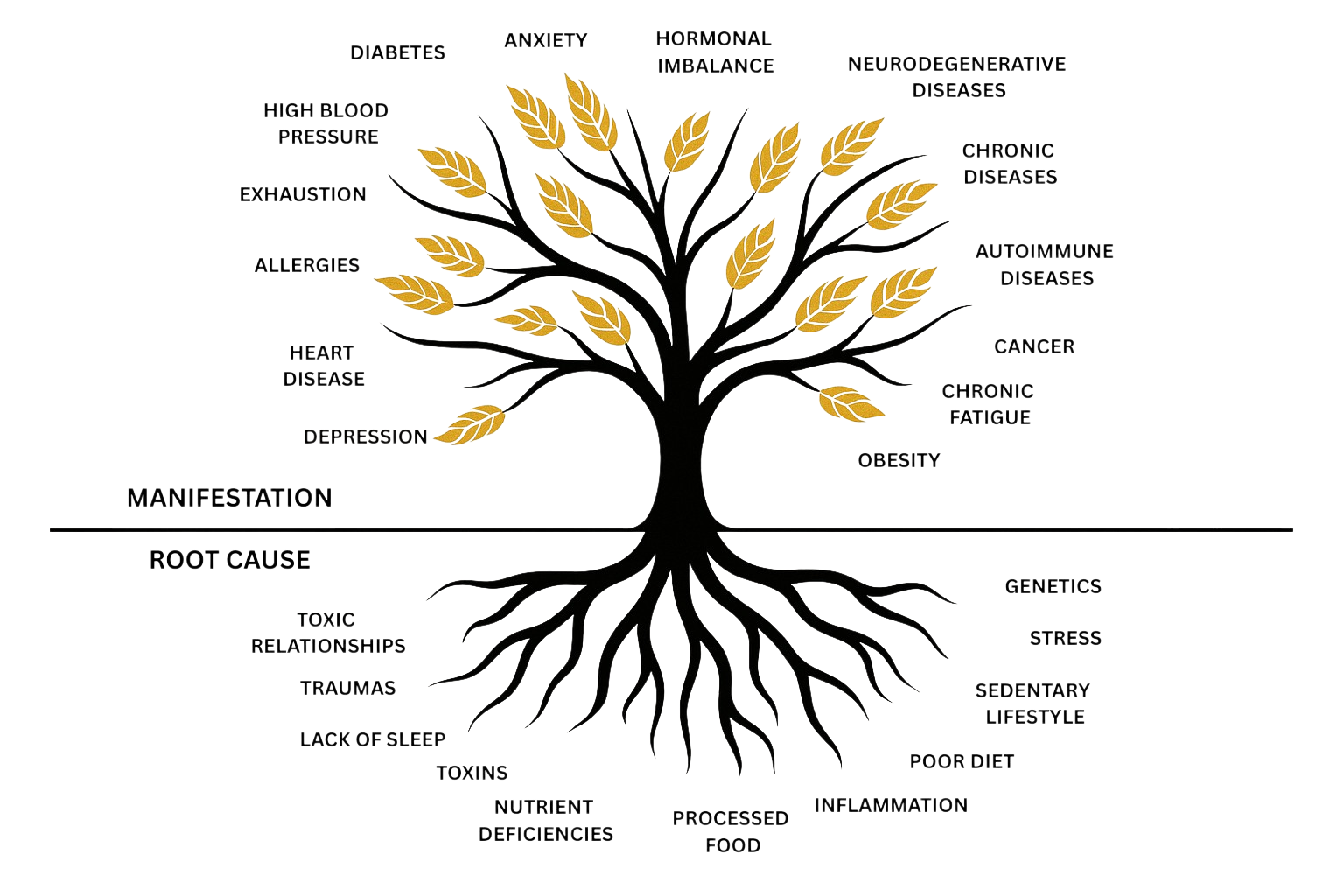 Tree of Health - showing how various health conditions stem from root causes